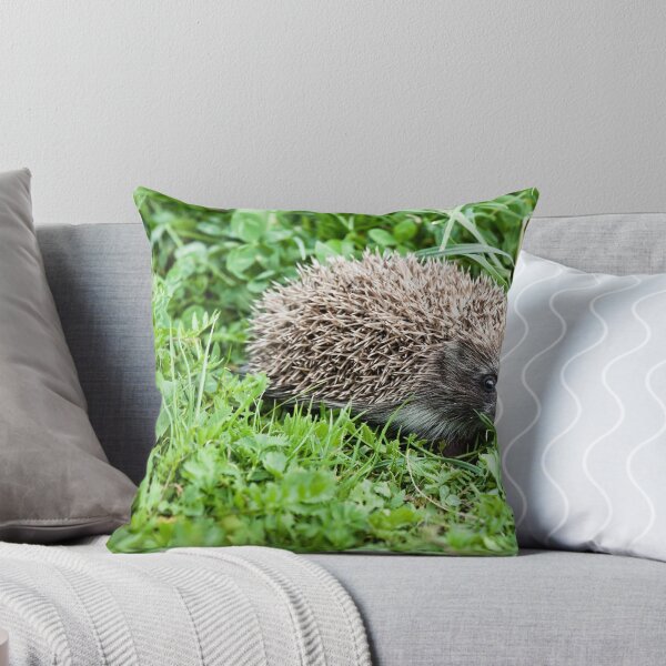Artikelvorschau, Igel entworfen und verkauft von Claraveritas.