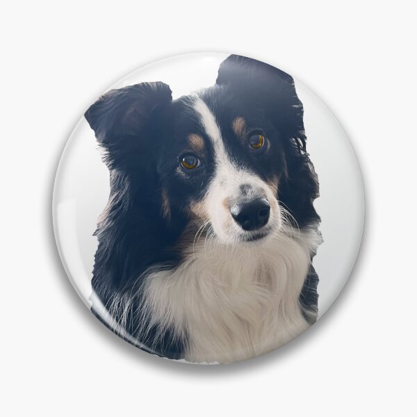Artikelvorschau, Australian Shepherd Schwarz Tri entworfen und verkauft von Designsbydls.
