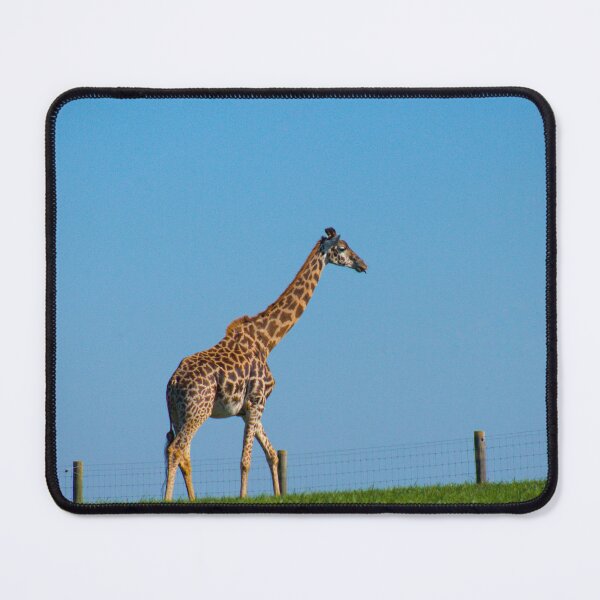 Item preview, A taunting young giraffe designed and sold by gtallman.