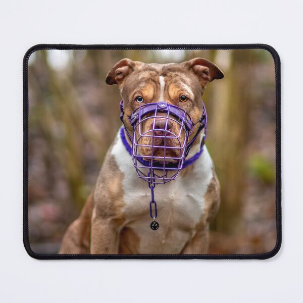 Item preview, Woodland Bullies designed and sold by Zephyr Dakota.