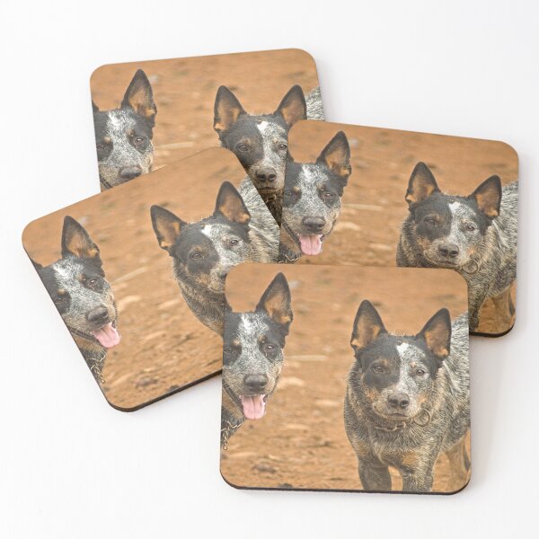 Item preview, dls winners designed and sold by pcfyi.