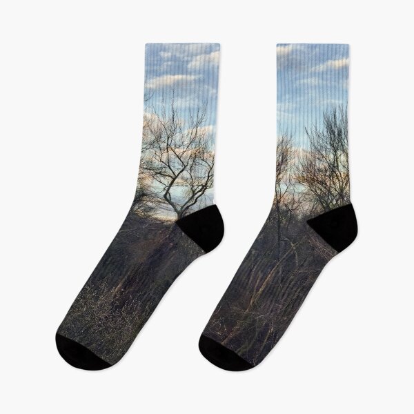 Item preview, A Blue Sky in Winter designed and sold by Pamela Storch.