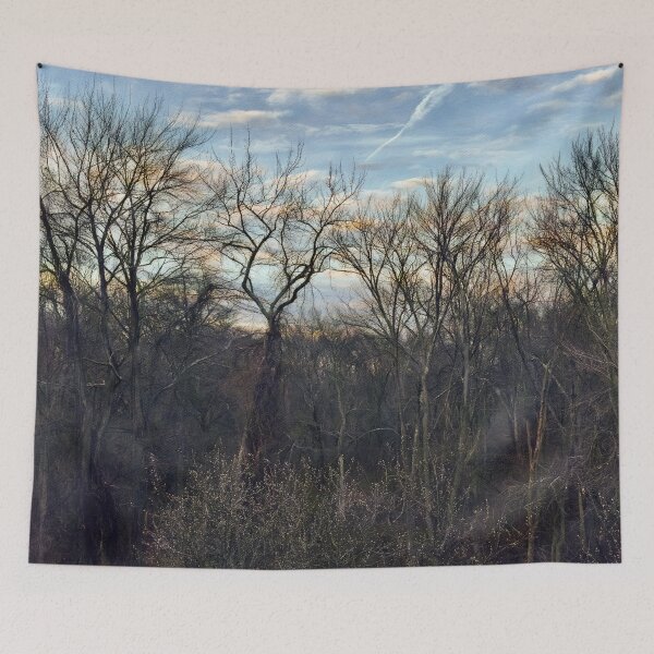 Item preview, A Blue Sky in Winter designed and sold by Pamela Storch.