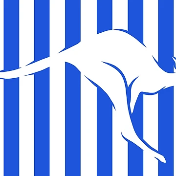 Artwork thumbnail, Bounding Roo by LegallyDistinct