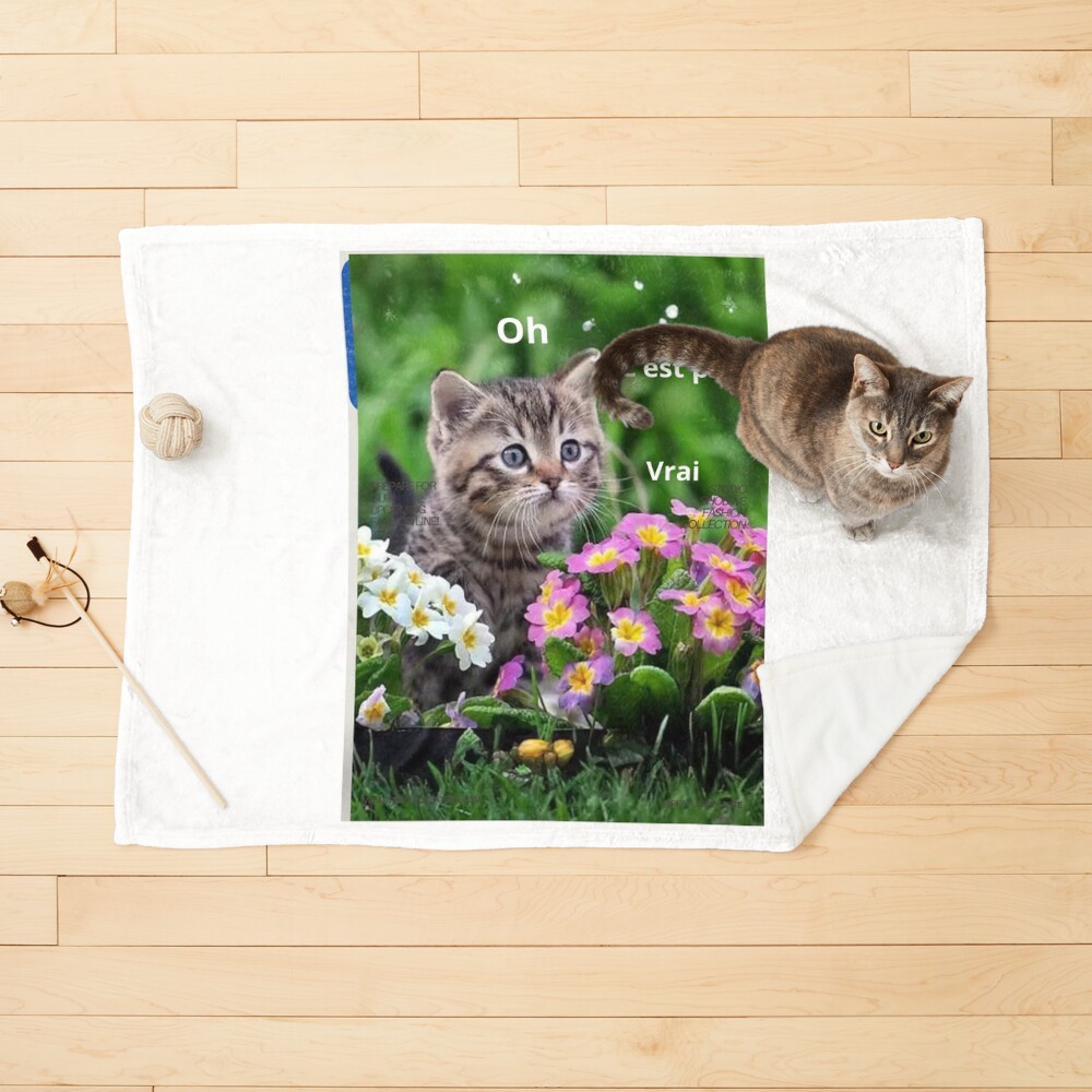Aperçu de l'œuvre Couverture pour animaux créée et vendue par charlolo.