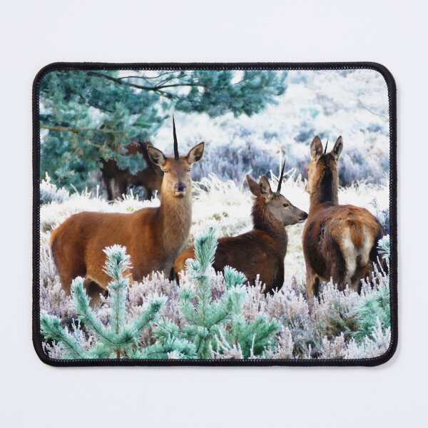 Item preview, Unicorn Deer #redbubble #decor #buyart designed and sold by 83oranges.com.