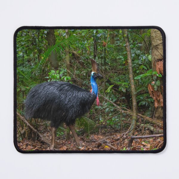 Item preview, Cassowary Far North Queensland designed and sold by Kate Powick.