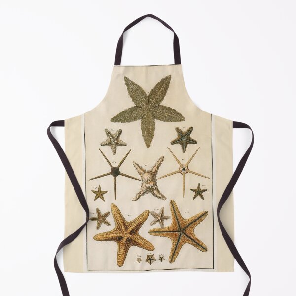 Item preview, Vintage Starfish Sea Stars illustration designed and sold by Glimmersmith.