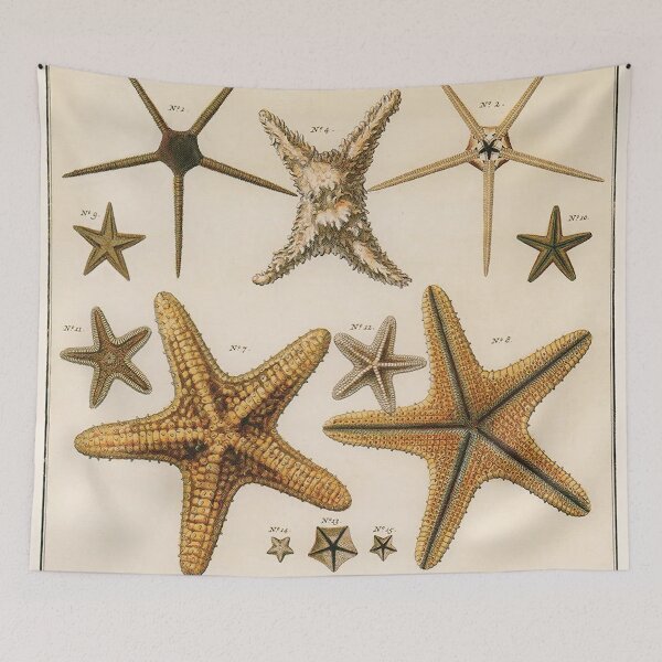 Item preview, Vintage Starfish Sea Stars illustration designed and sold by Glimmersmith.