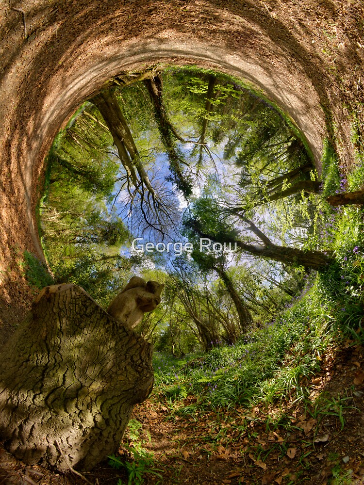 Squirrel Sculpture in Prehen Woods, Derry - Sky In by VeryIreland