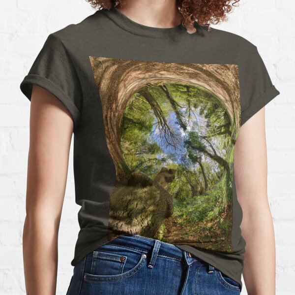 Squirrel Sculpture in Prehen Woods, Derry - Sky In Classic T-Shirt