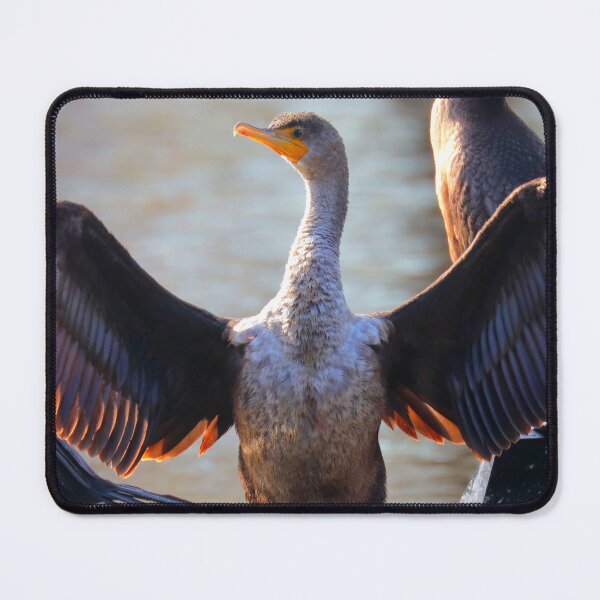 Item preview, Double-crested cormorant designed and sold by Parks and X.