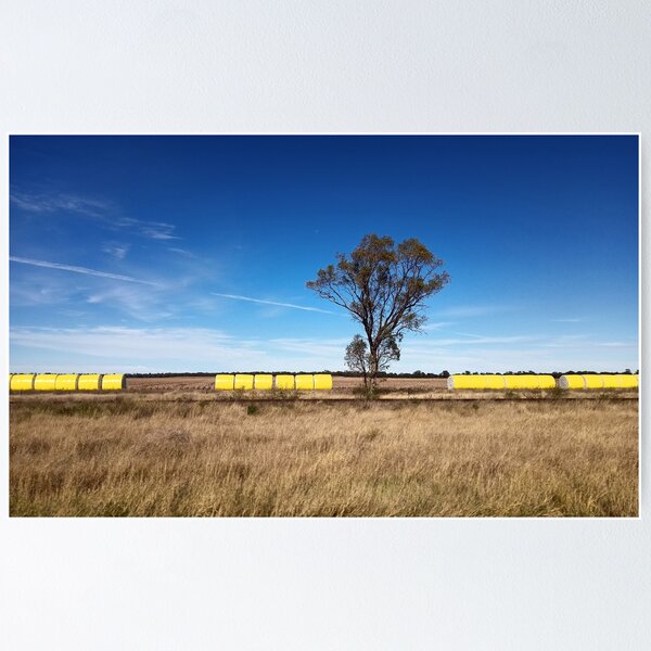 Item preview, Blue Sky and Cotton Bales in the Great Australian Outback  designed and sold by jaynerushton.