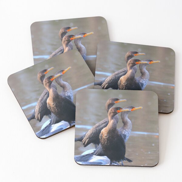 Item preview, Double-crested cormorants designed and sold by Parks and X.