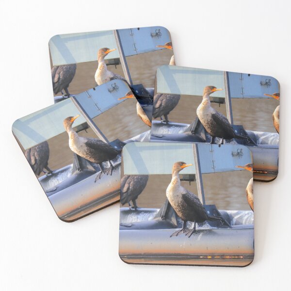 Item preview, Double-crested cormorant designed and sold by Parks and X.