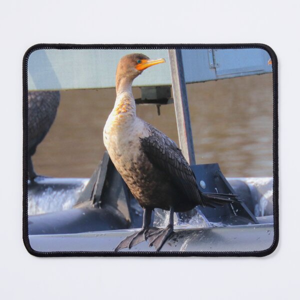 Item preview, Double-crested cormorant designed and sold by Parks and X.