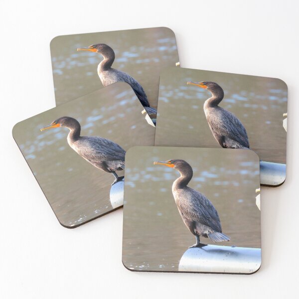 Item preview, Cormorant designed and sold by Parks and X.