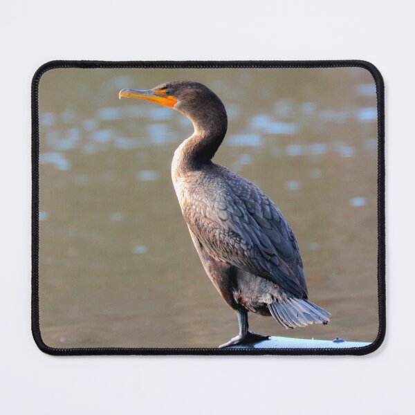 Item preview, Cormorant designed and sold by Parks and X.