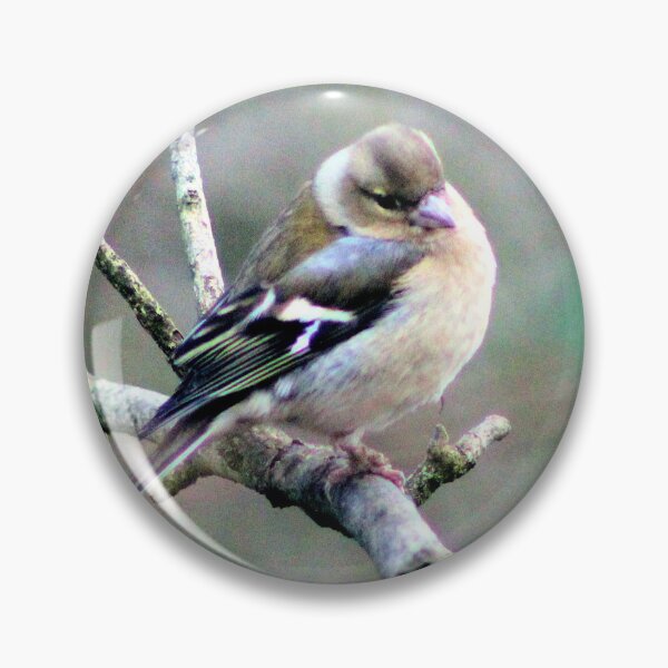 Item preview, chaffinch designed and sold by KathleenDawson.