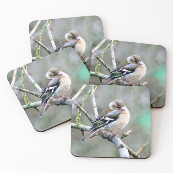 Item preview, chaffinch designed and sold by KathleenDawson.