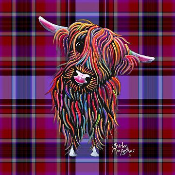 Aperçu de l'œuvre ScoTTiSH HiGHLaND CoW 'TaRTaN CoLLy P' PAR SHiRLeY MacArTHuR de Shirley MacArthur Limited