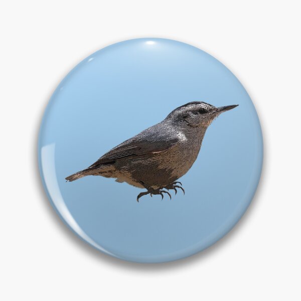 Item preview, Corsican Nuthatch Color Design  designed and sold by designsasstultd.