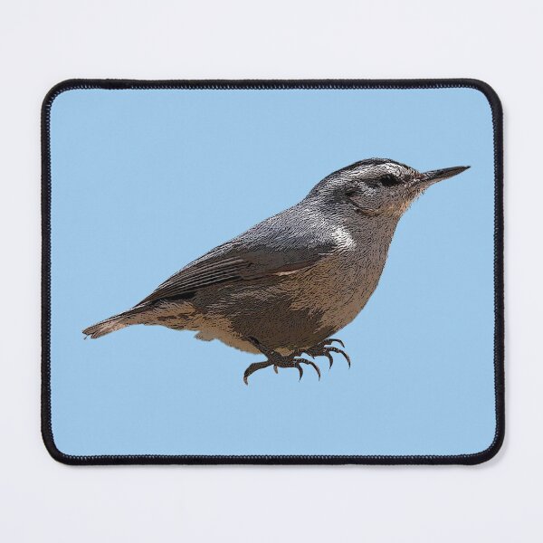 Item preview, Corsican Nuthatch Color Design  designed and sold by designsasstultd.