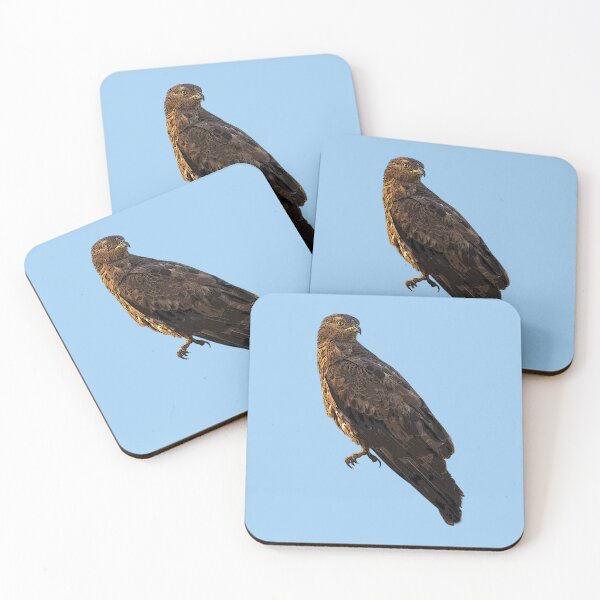 Item preview, European Honey Buzzard Color Design  designed and sold by designsasstultd.