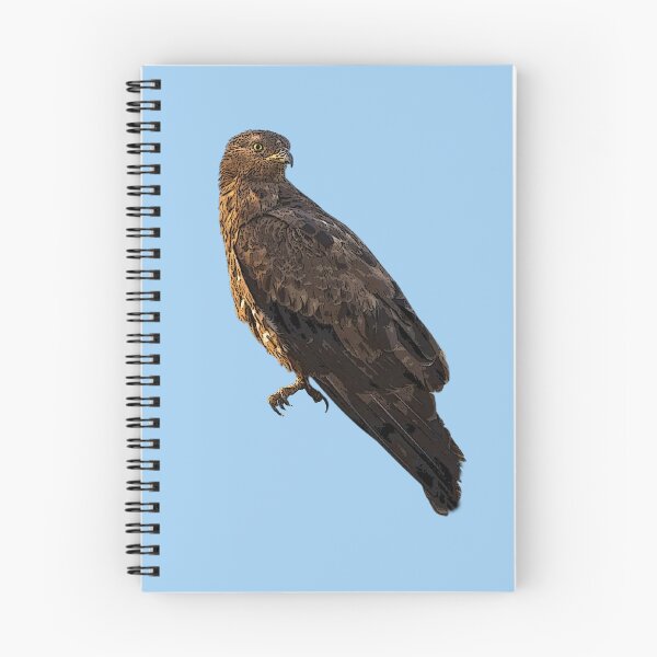Item preview, European Honey Buzzard Color Design  designed and sold by designsasstultd.