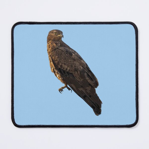 Item preview, European Honey Buzzard Color Design  designed and sold by designsasstultd.