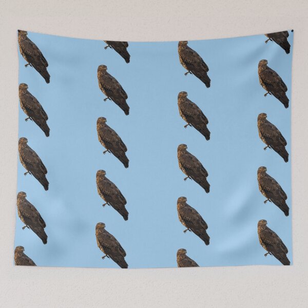Item preview, European Honey Buzzard Color Design  designed and sold by designsasstultd.