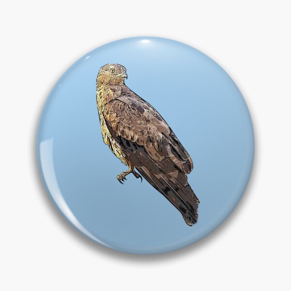 Item preview, European Honey Buzzard Black Alternate Design  designed and sold by designsasstultd.
