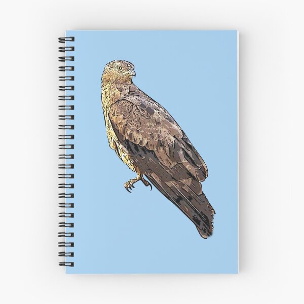 Item preview, European Honey Buzzard Black Alternate Design  designed and sold by designsasstultd.
