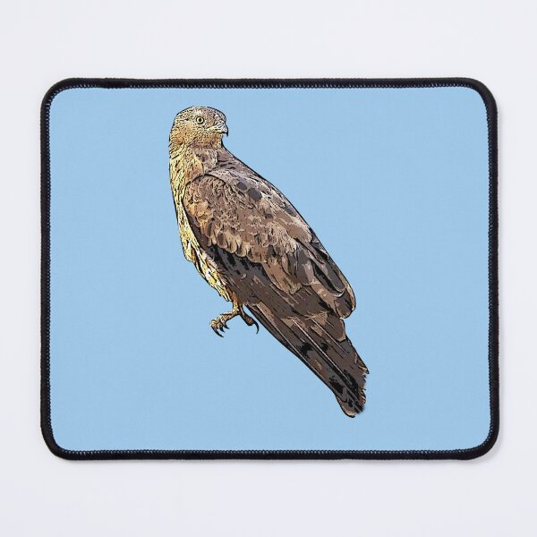 Item preview, European Honey Buzzard Black Alternate Design  designed and sold by designsasstultd.