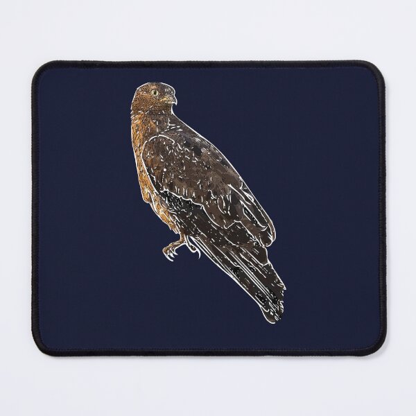Item preview, European Honey Buzzard White Alternate Design  designed and sold by designsasstultd.