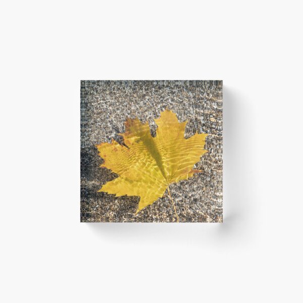Item preview, Autumn Bijou - Golden Maple Leaf and Veins of Sunshine designed and sold by Georgia Mizuleva.