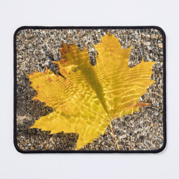 Item preview, Autumn Bijou - Golden Maple Leaf and Veins of Sunshine designed and sold by Georgia Mizuleva.