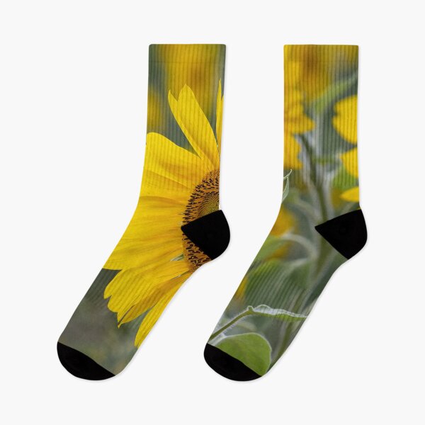 Item preview, close up of sonflowers in a fiels designed and sold by Ronenvief.