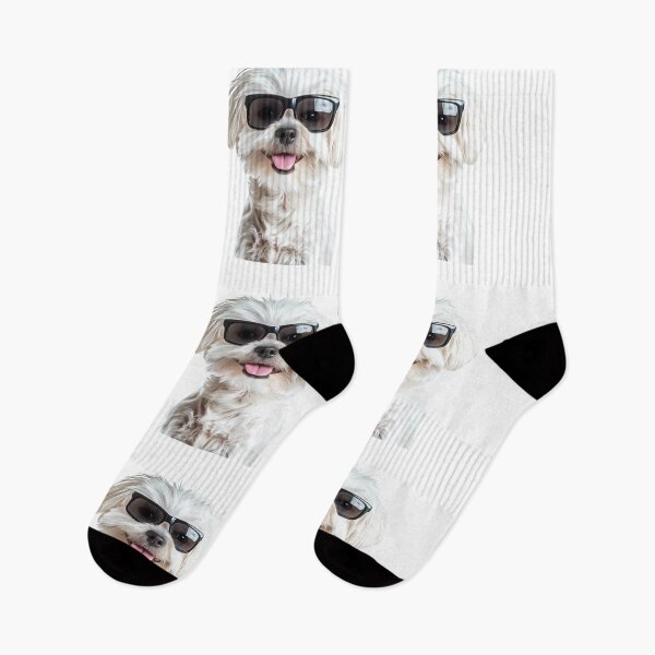 Item preview, Funny cool Maltese Dog wearing sunglasses designed and sold by LazyOwlStore.