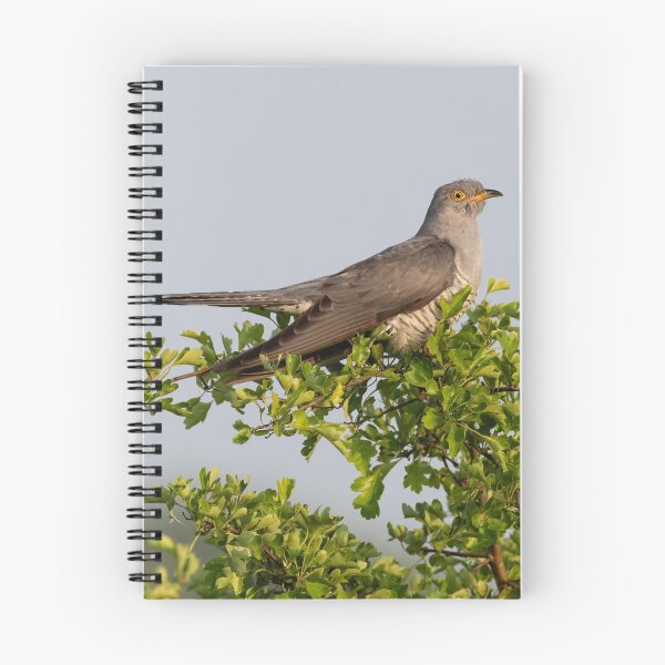 Item preview, Cuckoo (The Visitor) designed and sold by lyttonimages.
