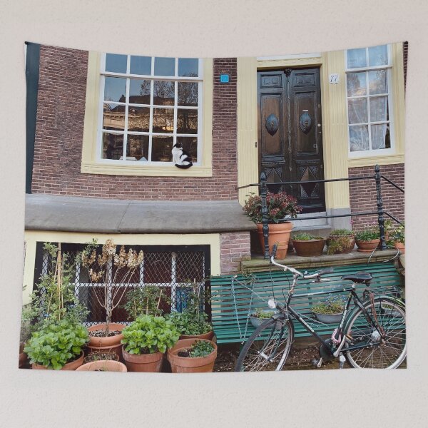 Item preview, Tuxedo Cat Sitting on the Window in Cute Amsterdam House Front designed and sold by Quoppidou.