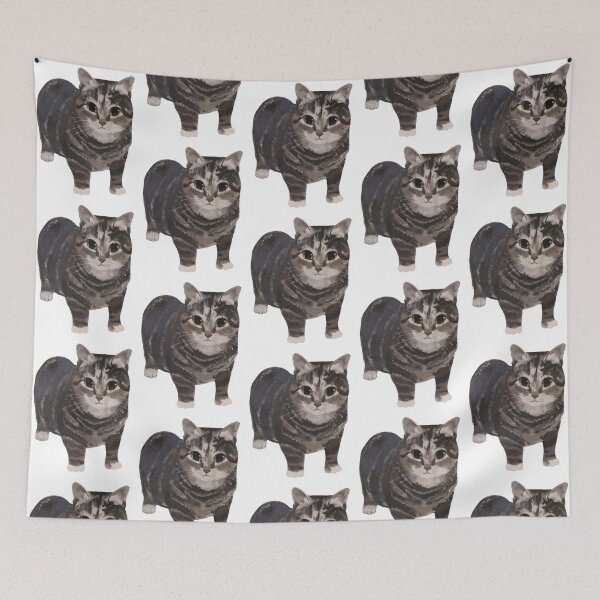 Item preview, Spinning Cat Meme Oiiai designed and sold by Asutip.