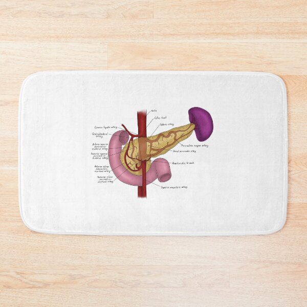 Item preview, Pancreas Blood Supply designed and sold by TIBOM.