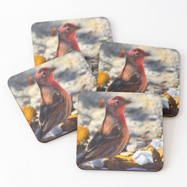 Item preview, House Finch designed and sold by LisaWootenPhoto.