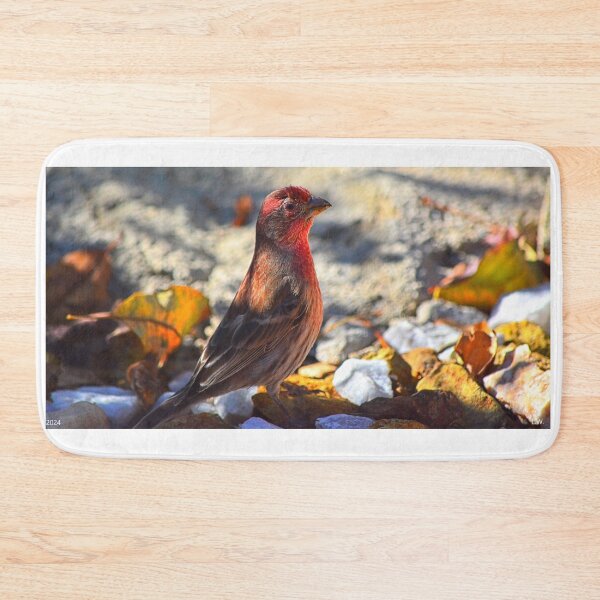 Item preview, House Finch designed and sold by LisaWootenPhoto.