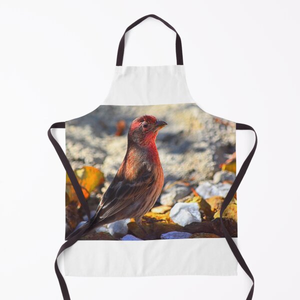 Item preview, House Finch designed and sold by LisaWootenPhoto.