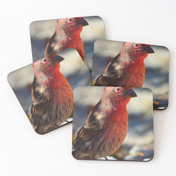 Item preview, House Finch Vertical designed and sold by LisaWootenPhoto.
