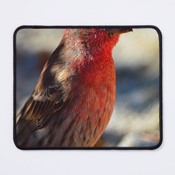 Item preview, House Finch Vertical designed and sold by LisaWootenPhoto.