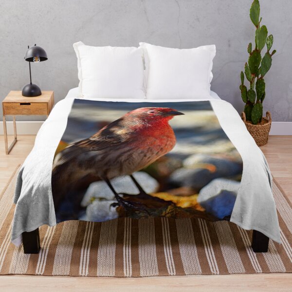 Item preview, House Finch Vertical designed and sold by LisaWootenPhoto.