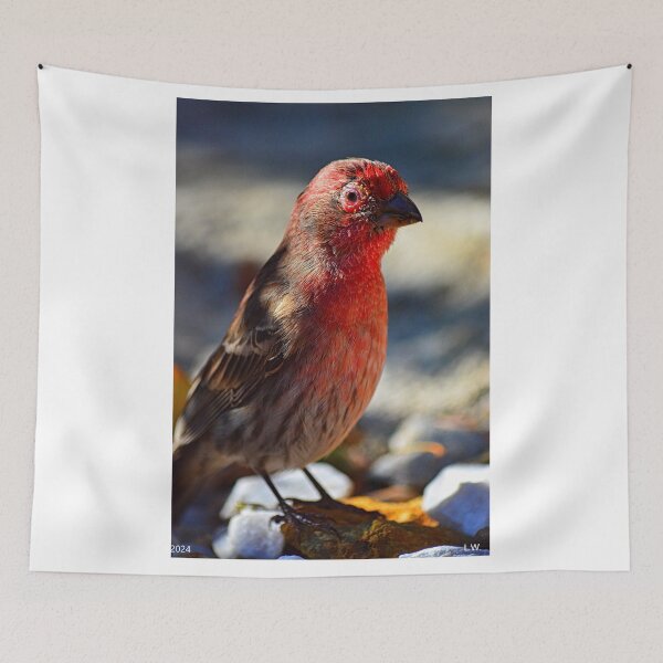 Item preview, House Finch Vertical designed and sold by LisaWootenPhoto.